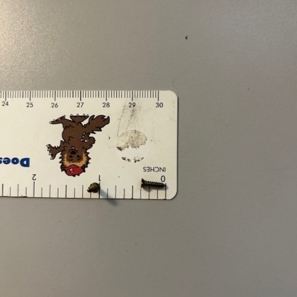 TINY LITTLE BRASS SCREWS